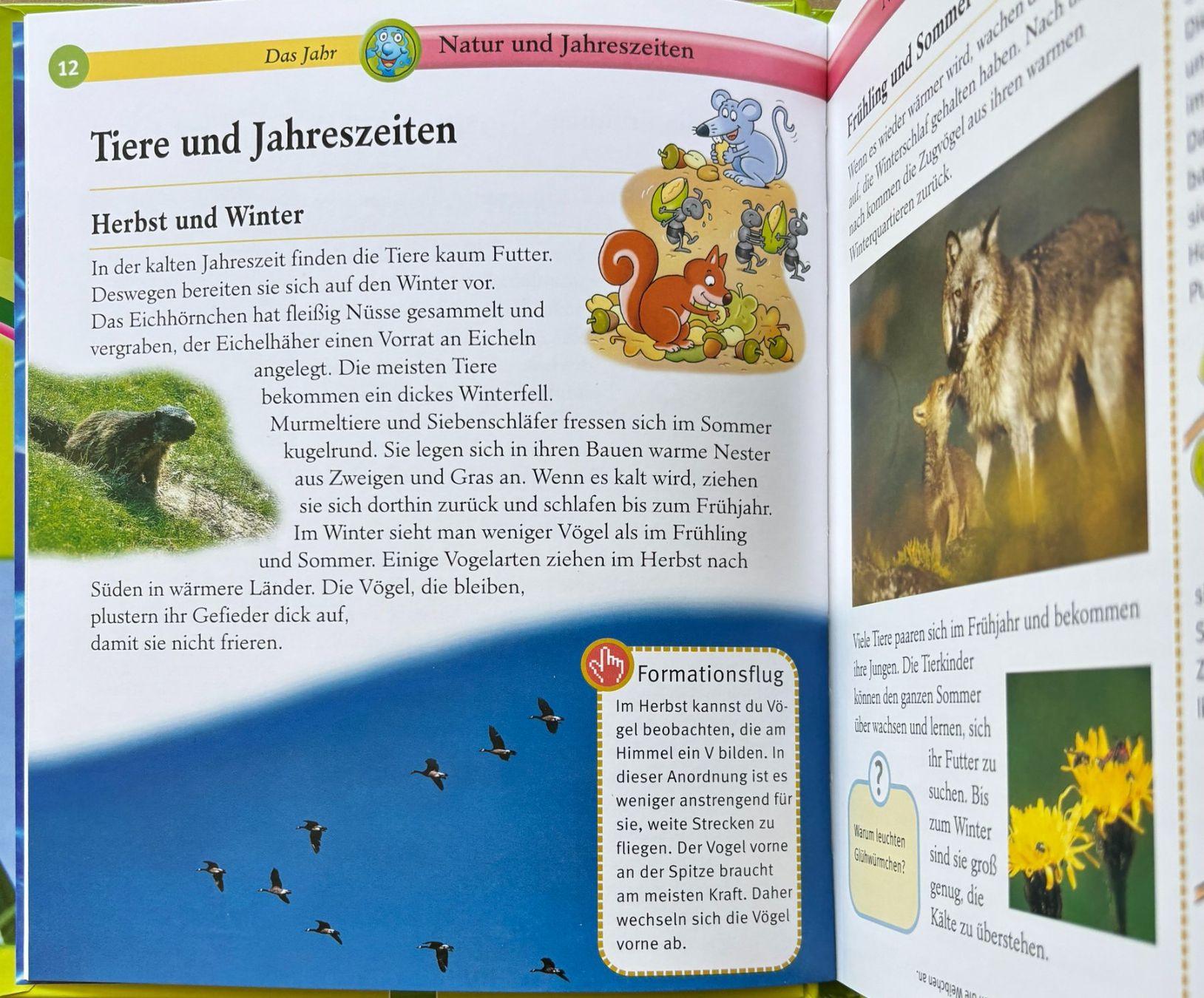 Libri: Natur- und Jahreszeiten – Nuovo (secondo la descrizione) da Sarnen venduto da Livres 3