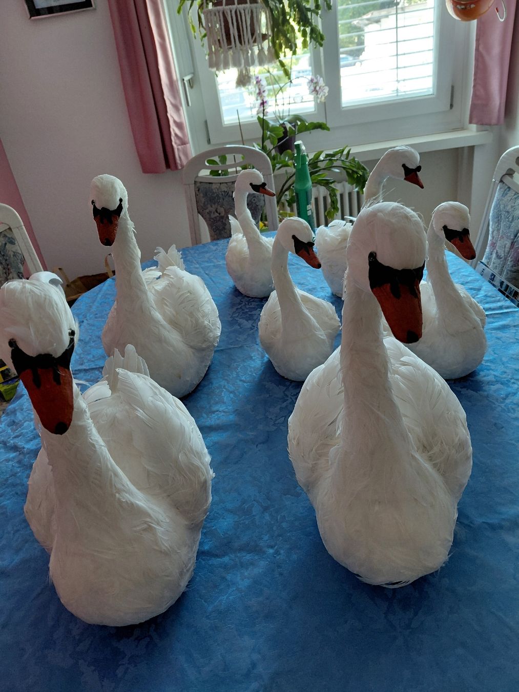 Alle Dekorationen: Deko Enten echten federn – Neu (gemäss Beschreibung) aus Amriswil von Trixi022 3