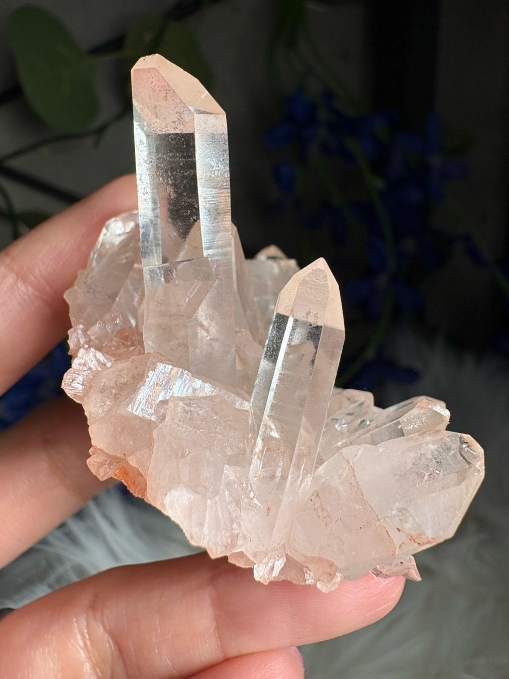 Minerali & Pietre curative: Rosa Quarz-Cluster – Nuovo (secondo la descrizione) da Neuheim venduto da m.hald 4