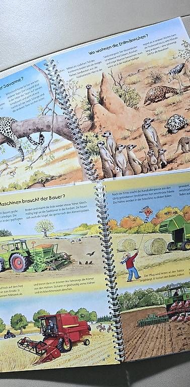 Libri: Warum? Kinderbuch – Usato da Zürich venduto da joo_hrd5 3