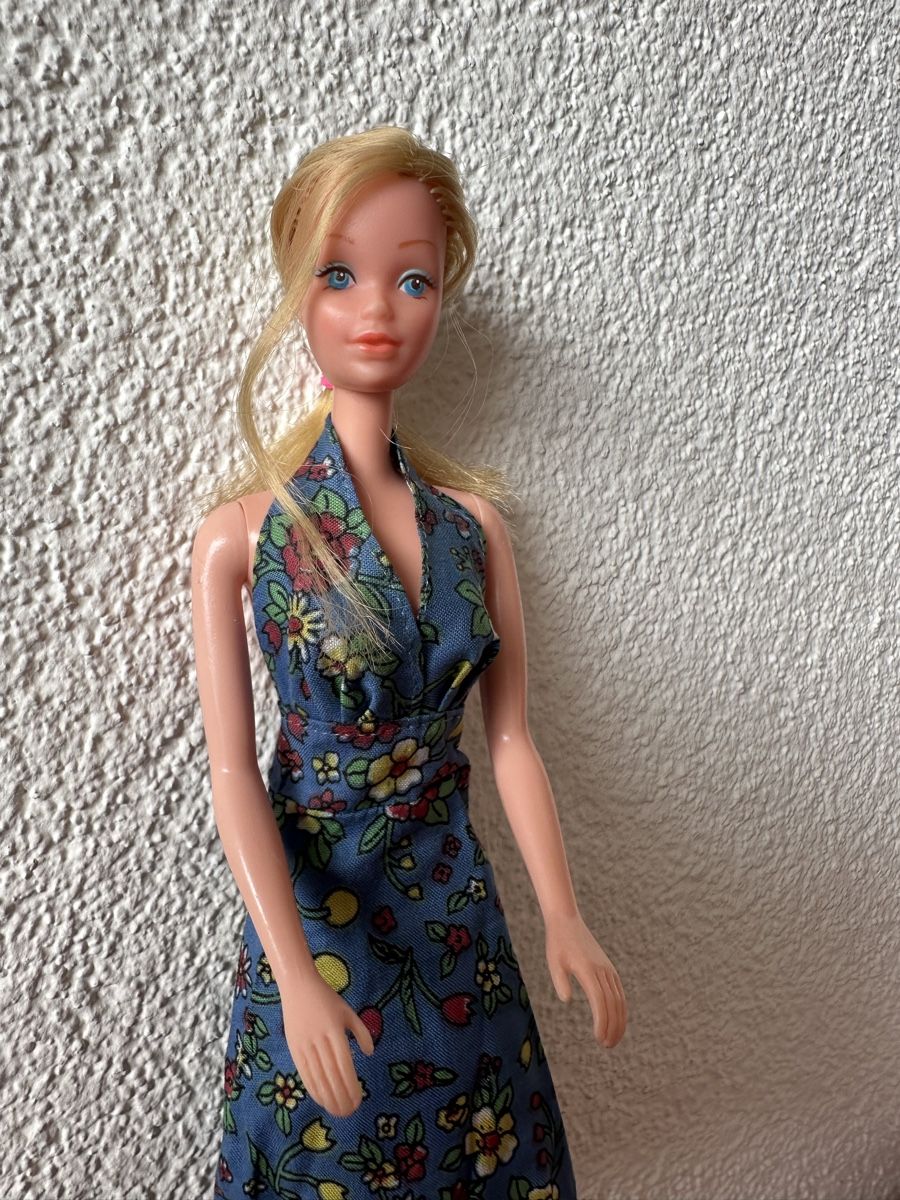 Bambole: Seltene Steffi Face Barbie 1970s – Usato da Herbriggen venduto da Sehrazade 3