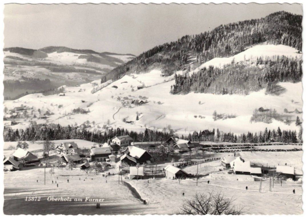 Cartoline postali: Wald - Skigebiet Oberholz – Usato da Binningen venduto da Mountainrider