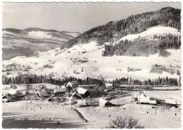 Wald - Skigebiet Oberholz