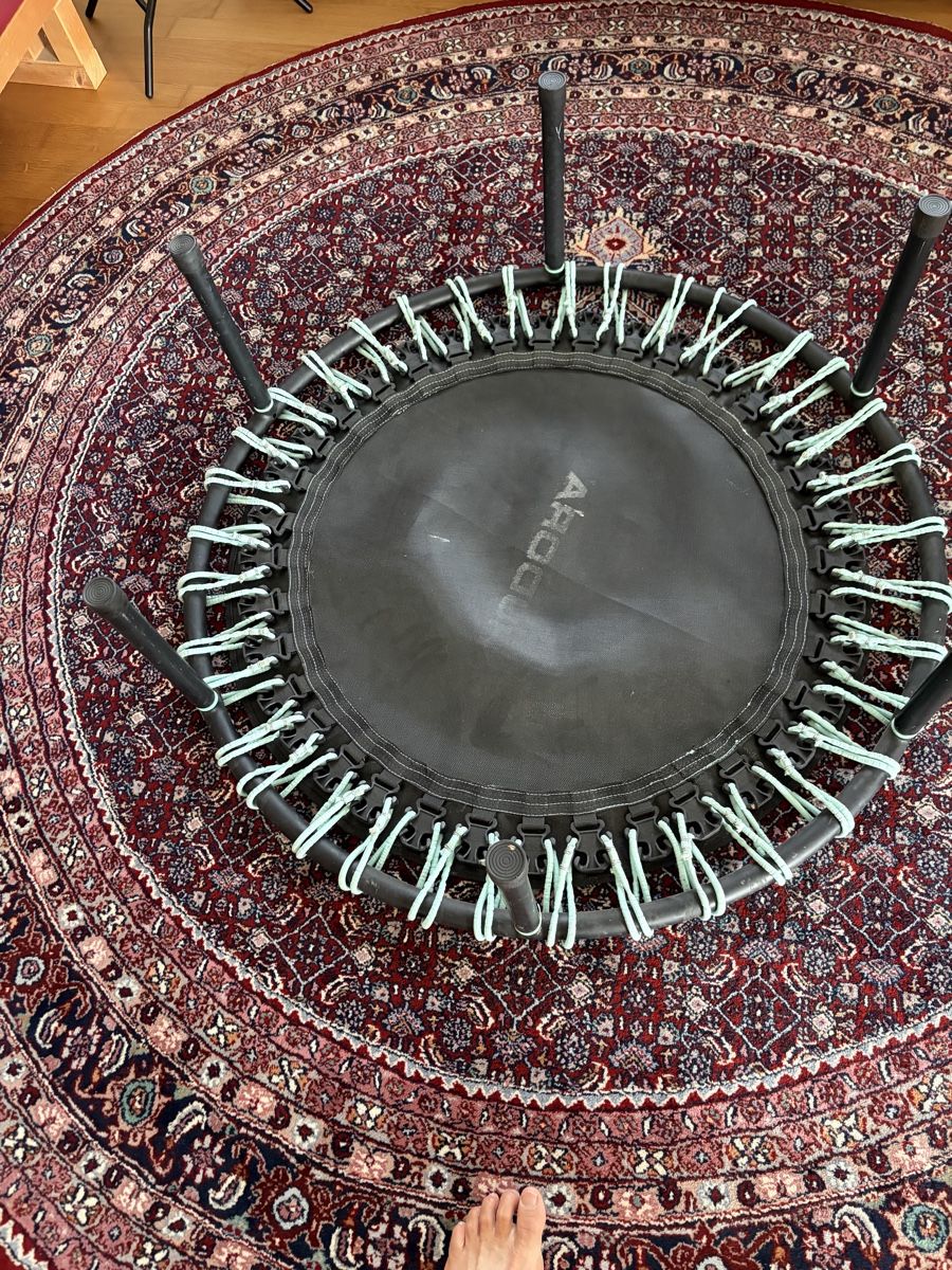Hudora Trampolini: mini Trampolin von Hudora – Difettoso da Wetzikon ZH venduto da otto.emil 4