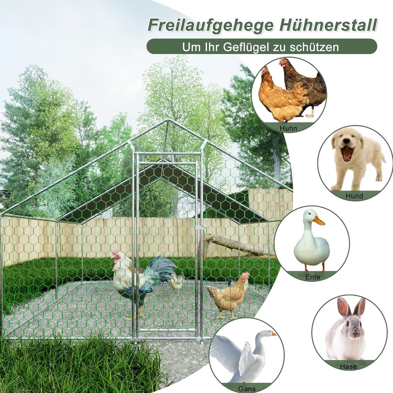 Gabbie, trasporto & Sicurezza: Hühnerstall 3x4x2m Laiham – Nuovo e nell'imballaggio originale da Bottighofen venduto da zaap 5