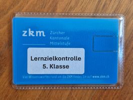 Lernzielkontrolle Mathe 5. Klasse zkm-Stick