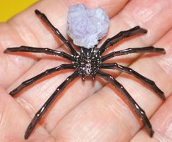 Deko Heilstein L-521 – Spinne Amethyst schwarz –5,5 x 4,5 cm