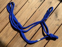 KB (XL) Knotenloses Halfter in Cobalt