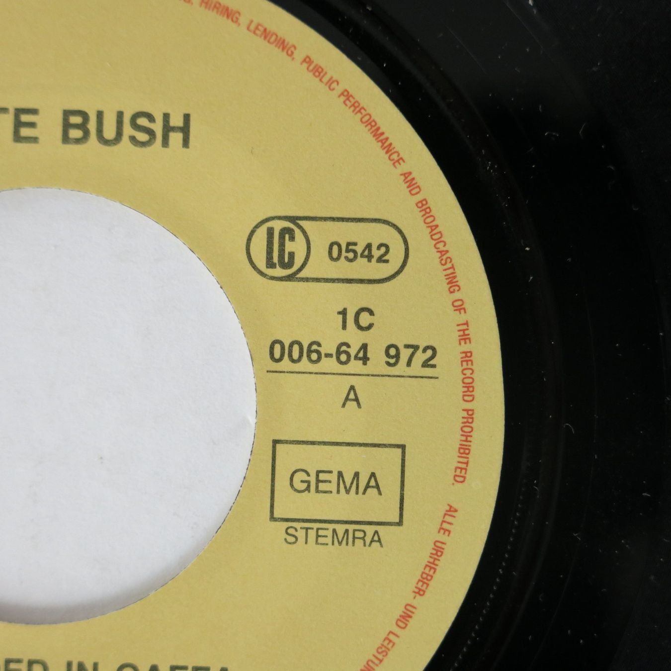 Dischi in vinile: Vinyl-Single 7" Kate Bush – Usato da Bözen venduto da Keramik22 4