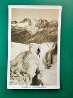 Steingletscher mit Fünffingerstöcken