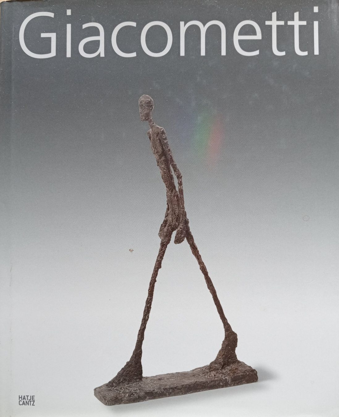 Libri: Giacomettis und andere Kunstbücher – Usato da Moosseedorf venduto da fri_2qls 3