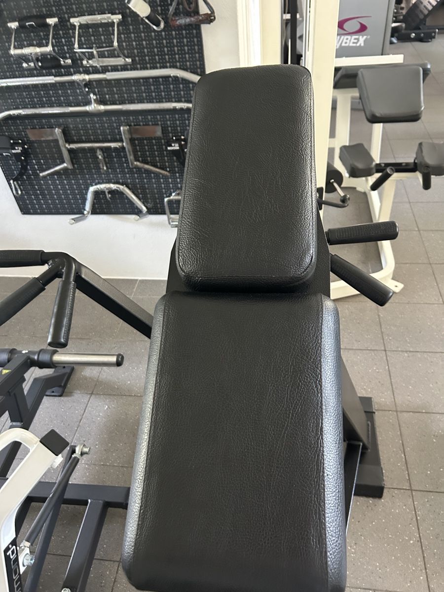 Hometrainer: Tbar Row - Panatta Fit2000 – Usato da Locarno venduto da Berserkr96 2