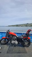 HARLEY-DAVIDSON XL 1200 N Sportster Nightster