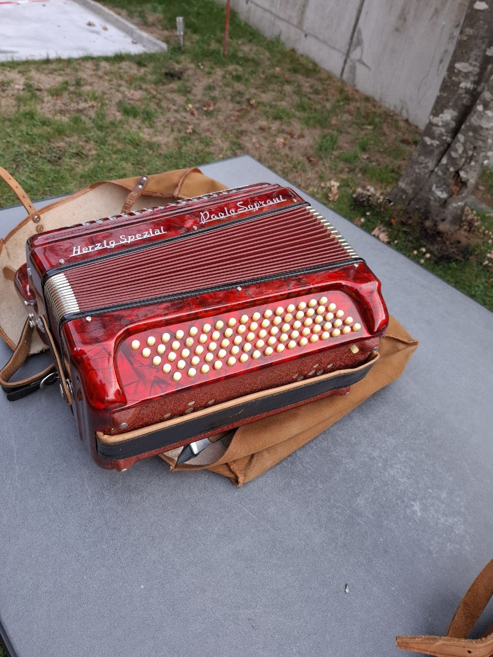 Instruments de musique: chromatique accordeon – D'occasion à Villeneuve par BibiVintage 5