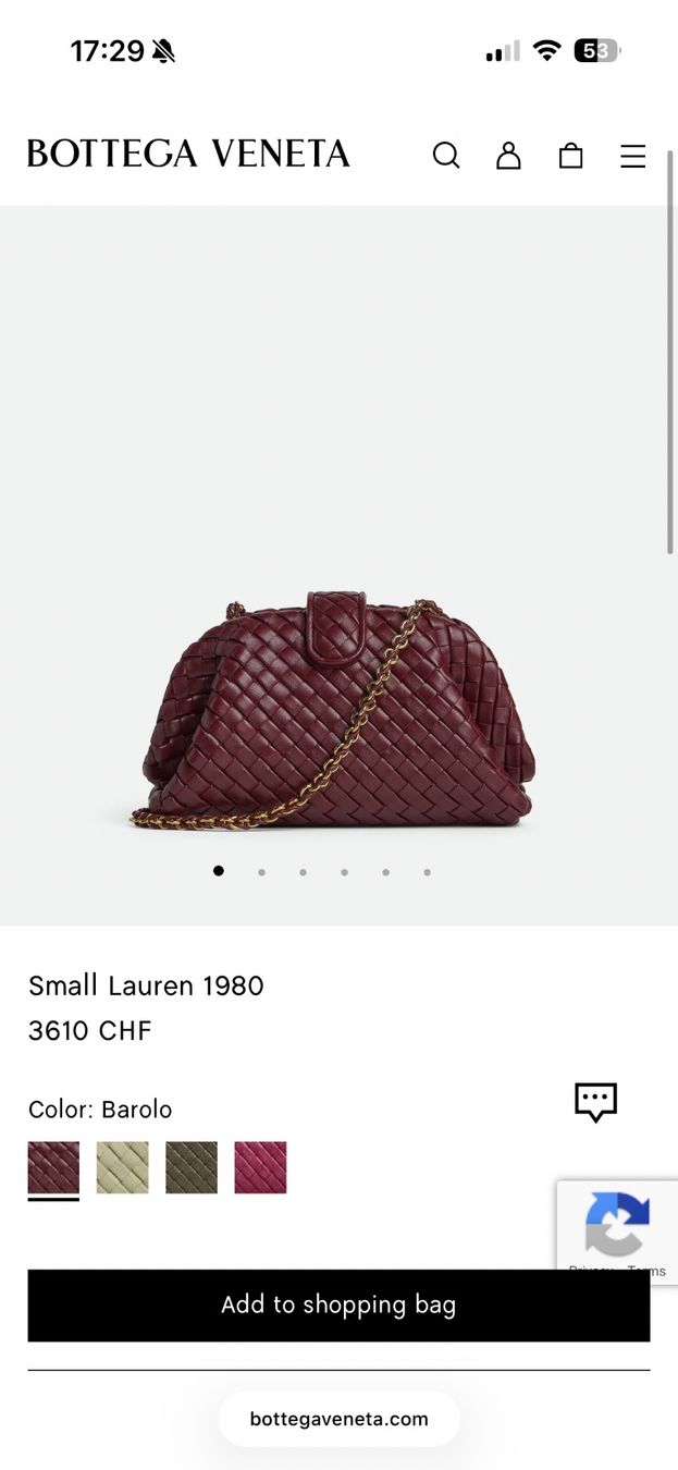 Bottega Veneta Taschen: used bottega venetta small lauren bag – Gebraucht aus Winterthur von ysmnki 3