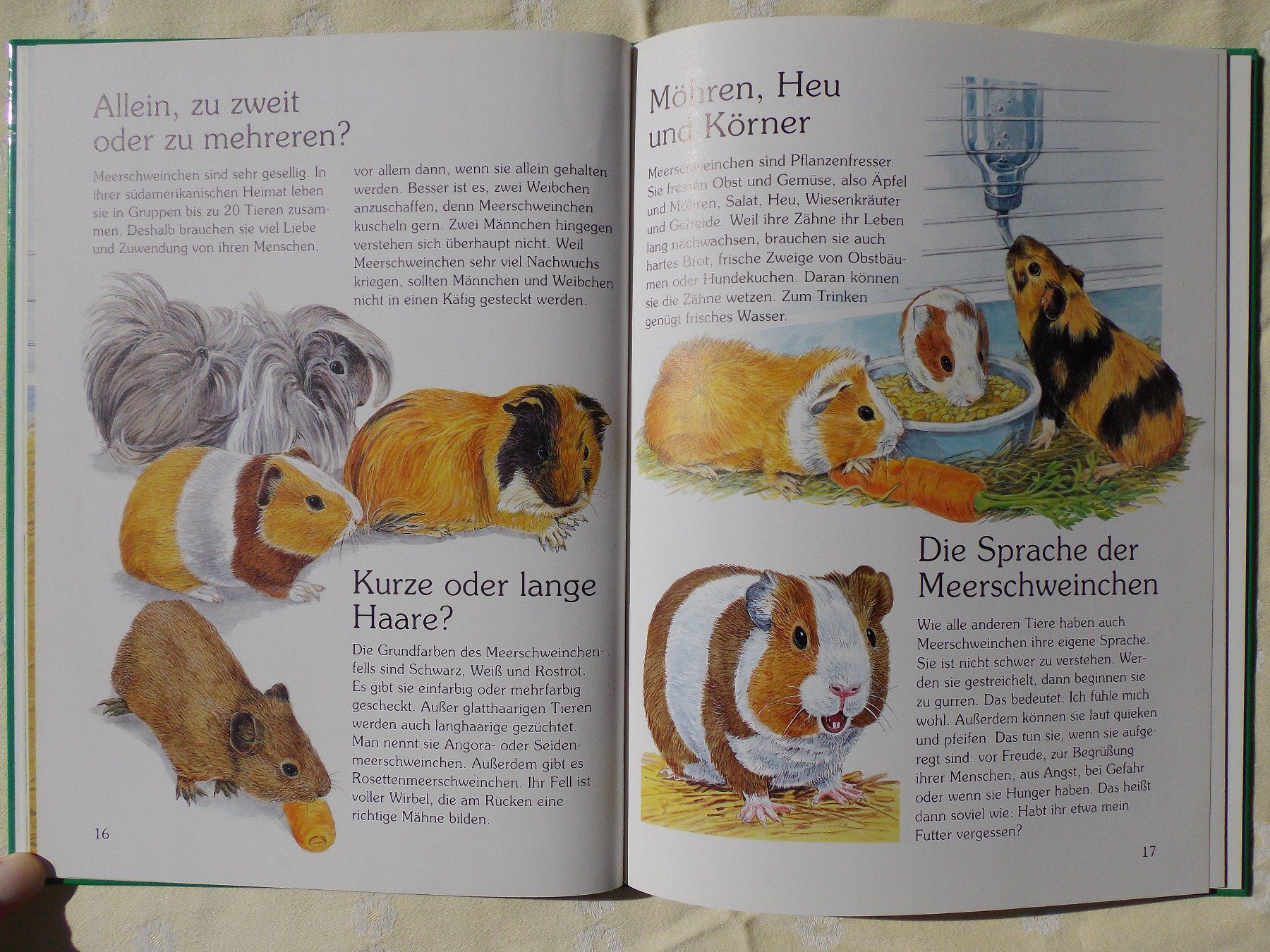 Libri: Tiere im Haus – Usato da Uster venduto da urs_75by 4