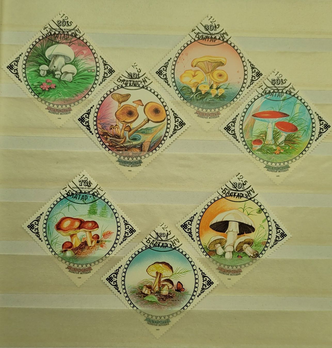 Tutti i francobolli: MONGOLEI / MONGOLIE – PILZE / CHAMPIGNONS – Usato da Neftenbach venduto da Mador6