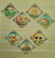 MONGOLEI / MONGOLIE – PILZE / CHAMPIGNONS