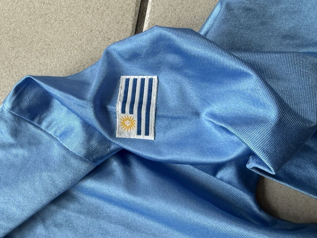 Canottiere & Pantaloni: Maillot Uruguay N°10, Taille M - – Usato da La Chaux-de-Fonds venduto da Chacha99 1