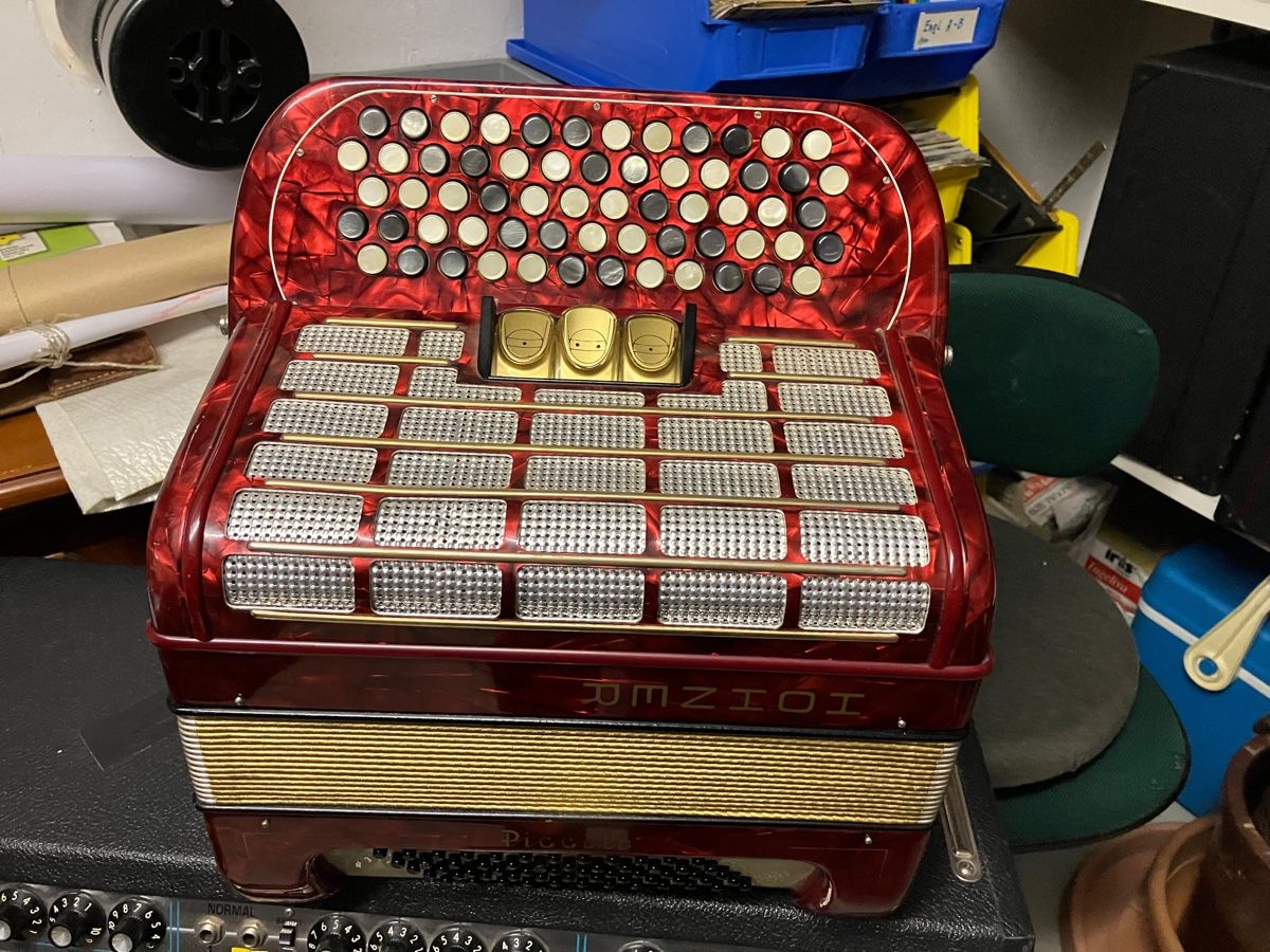 Hohner Strumenti musicali: Hohner Piccolo Akkordeon – Usato da Zürich venduto da Fairy07