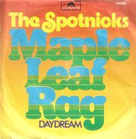 The Spotnicks - Maple Leaf Rag