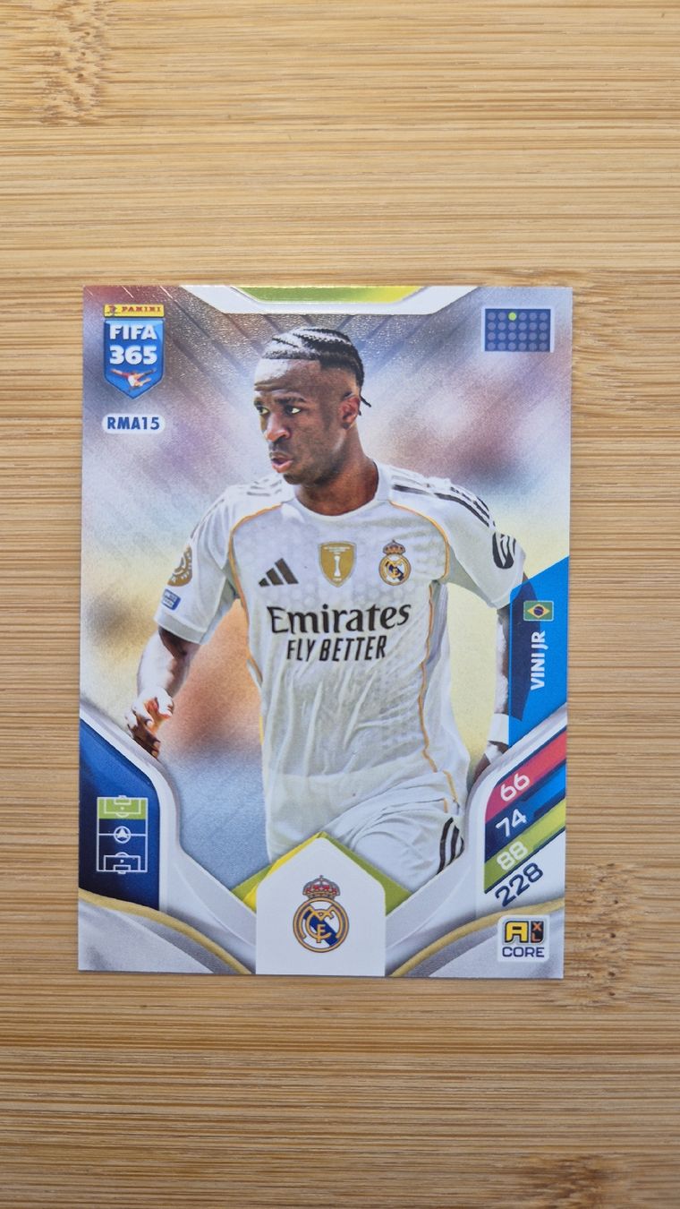 Panini Carte collezionabili: Panini FIFA 365 Vini Jr. – Usato da Bellach venduto da paedu-1980