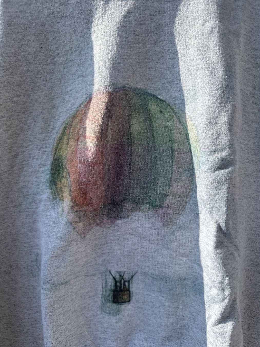 Maglioni & Felpe: Gildan Sweatshirt, size M, Grey with Balloon Design – Usato da Hausen am Albis venduto da fra_j5bg 1