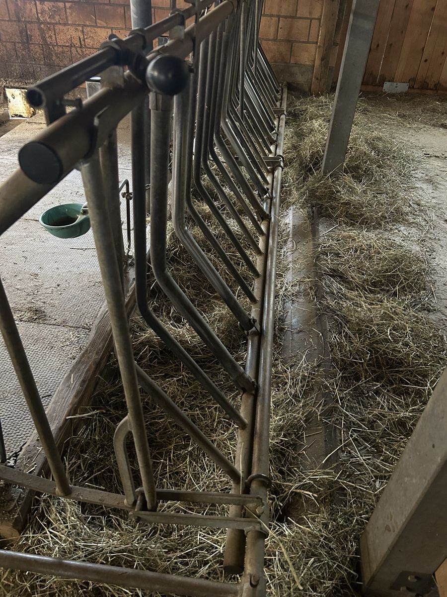 Altro in Accessori per animali: Fressfanggitter mit Vorhang – Usato da Habkern venduto da Bebasam 3