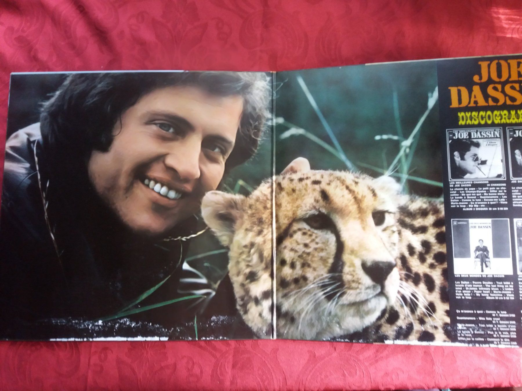 Dischi in vinile: LP (Joe Dassin) – Usato da Meyrin venduto da toutatis 1