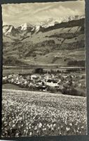 ALBEUVE - Hte.- Gruyère . Les Vanils, carte ancienne