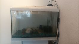 aquarium mit möbel, filter und mehr (ohne fische) ab 1.-!!!!