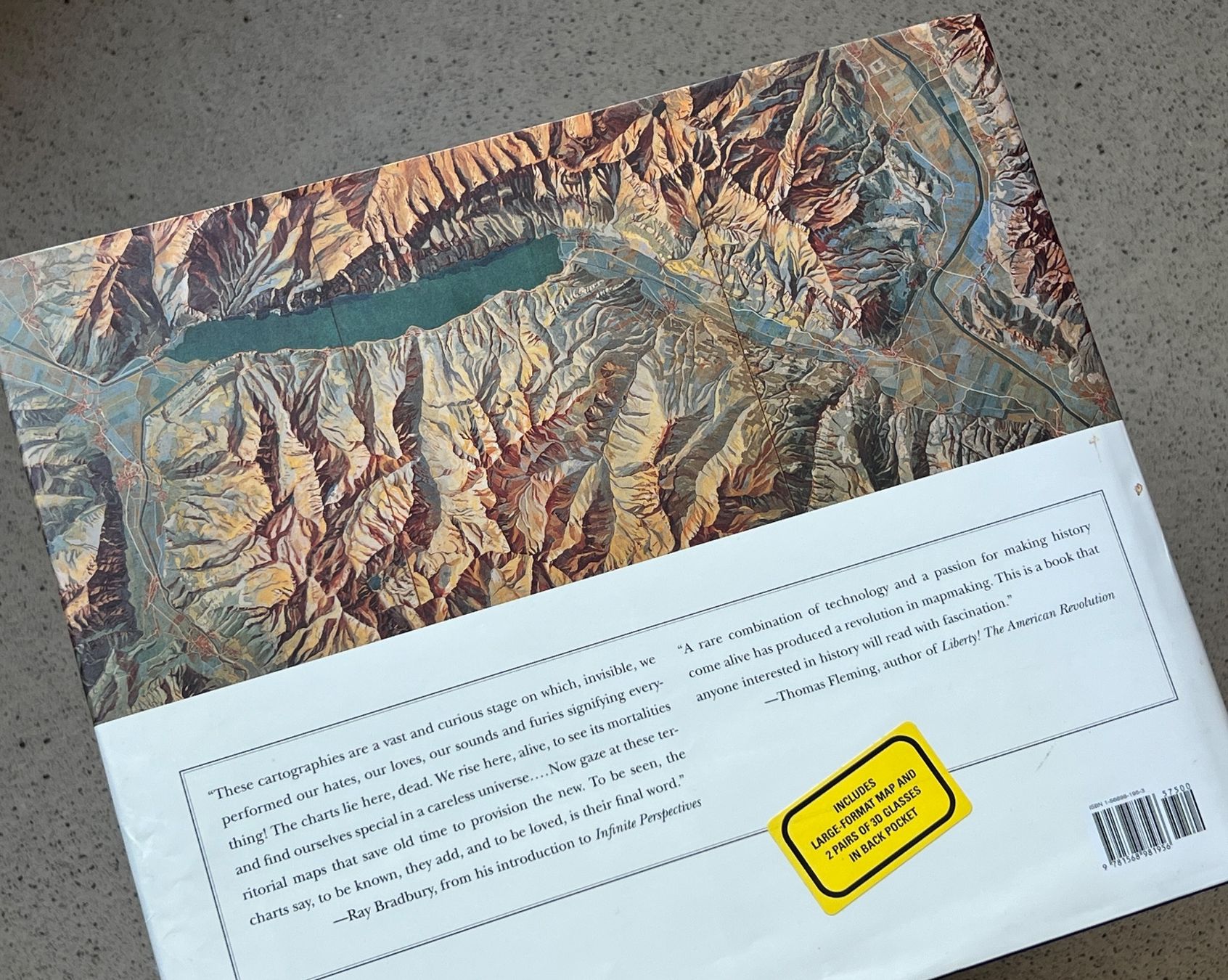 Libri: Infinite Perspectives Mapmaking – Usato da Zürich venduto da Octopus-275 1