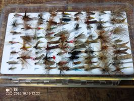 Top-Fliegenlot viele geflügelt Top in Box