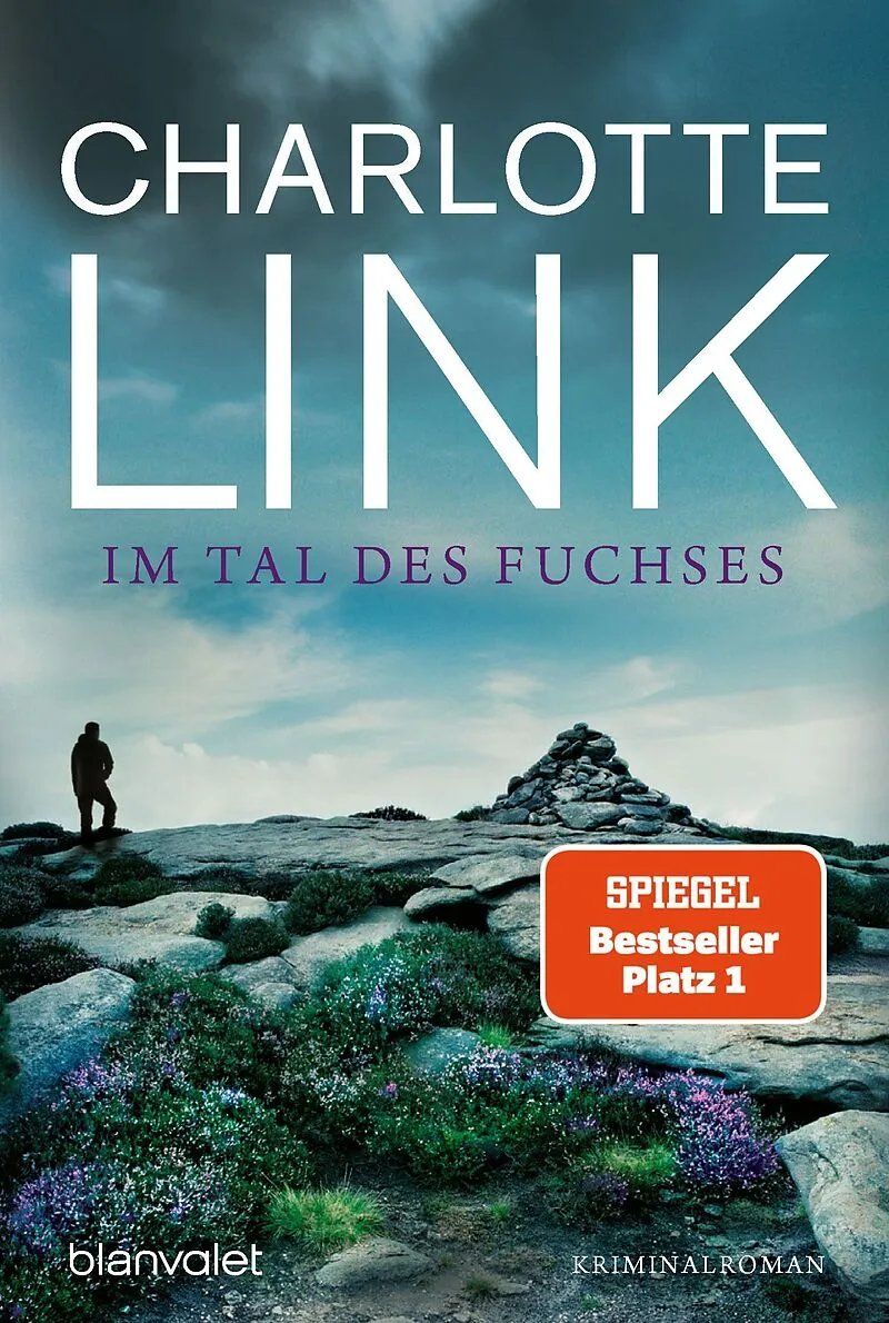 Bücher: 10 Krimis/Thriller – Gebraucht aus bern von jeannie2006 3