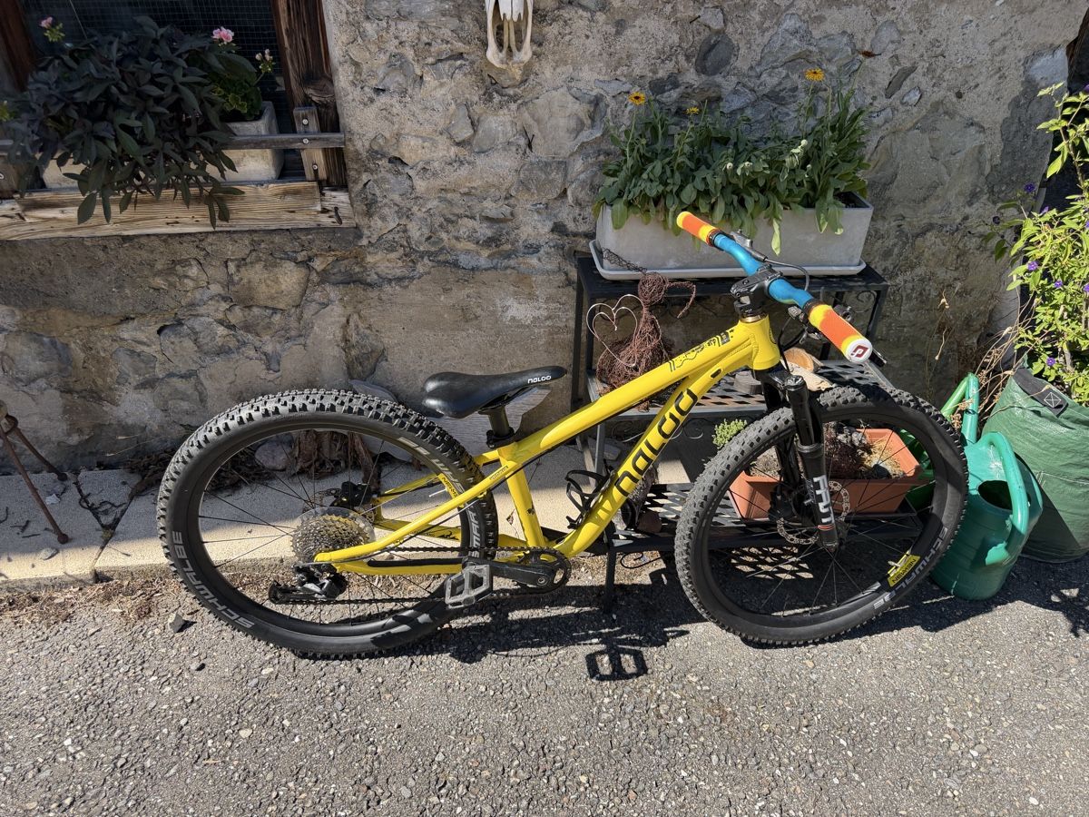 Naloo Biciclette: Naloo Hill Bill 24 Zoll – Usato da stallikon venduto da Guetze1990 1