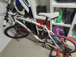 Specialized Rockhopper