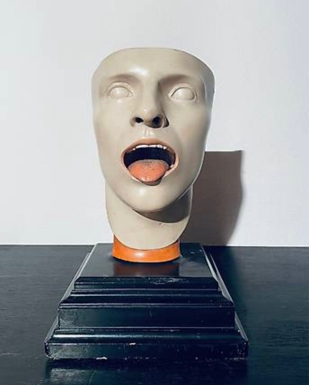 Statuette: Anatomisches Modell Kopf – Usato da Schaffhausen venduto da nor_jfc5