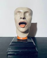 Anatomisches Modell Kopf