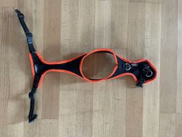 Grossenbacher Hundegeschirr 4xs Orange