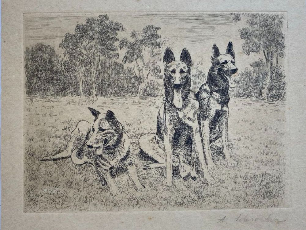 Stiche: Bild  "Schäferhunde", Hunde, schwarz/weiss – Gebraucht aus Dietlikon von VintageStudioZurich