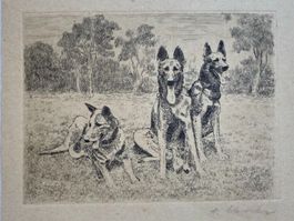 Bild  "Schäferhunde", Hunde, schwarz/weiss