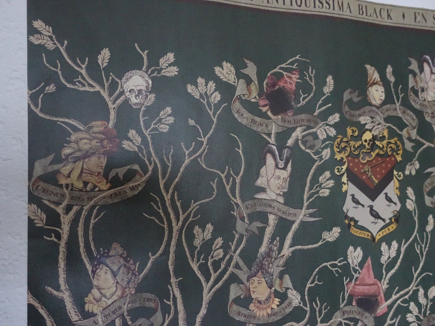 Foto & Immagini: Harry Potter Black Family Poster – Usato da Glattfelden venduto da tdlubek 1