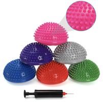 Sensorik-Igelbälle Set 6 Stück mit Pumpe neuwertig