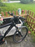 velo ritchey
