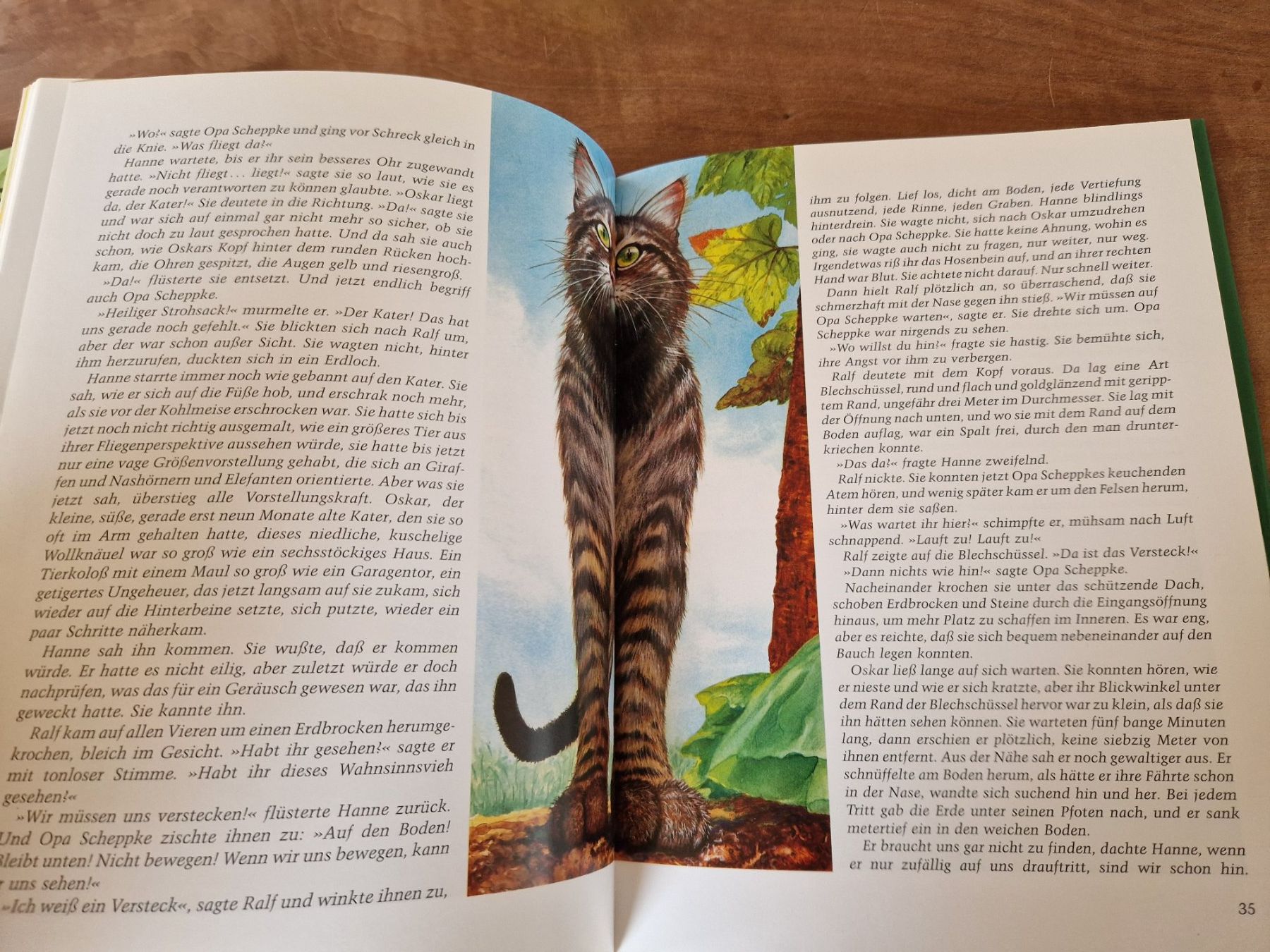 Livres: Bilderbuch "Der schwarze Stein" – D'occasion à Giswil par movo08 2