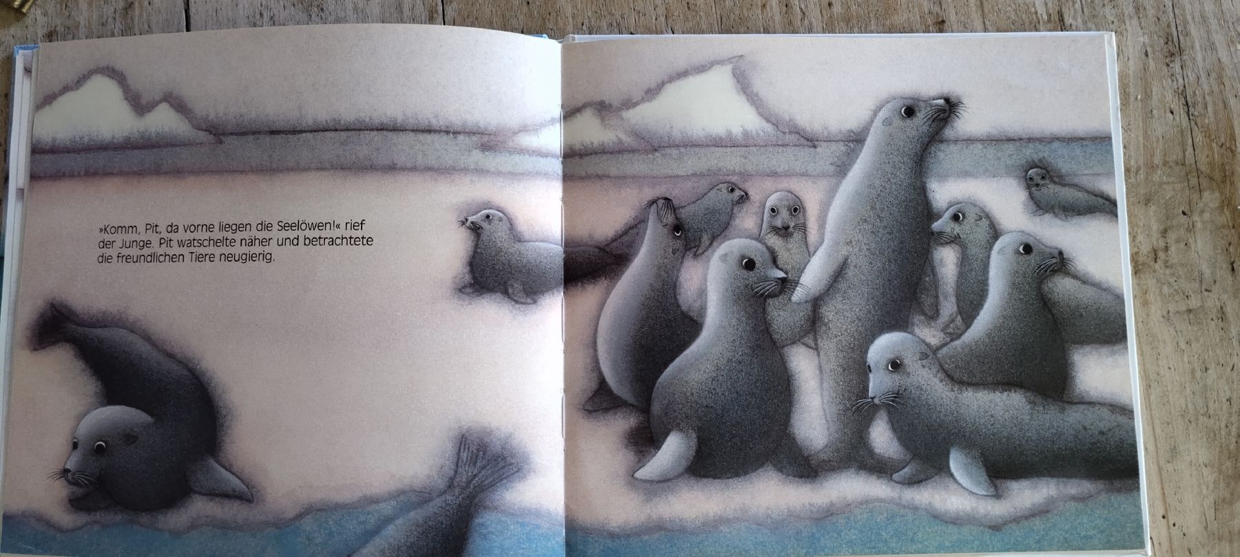 Libri: Pits neue Freunde, Bilderbuch  – Usato da Nuglar venduto da bibabone 3