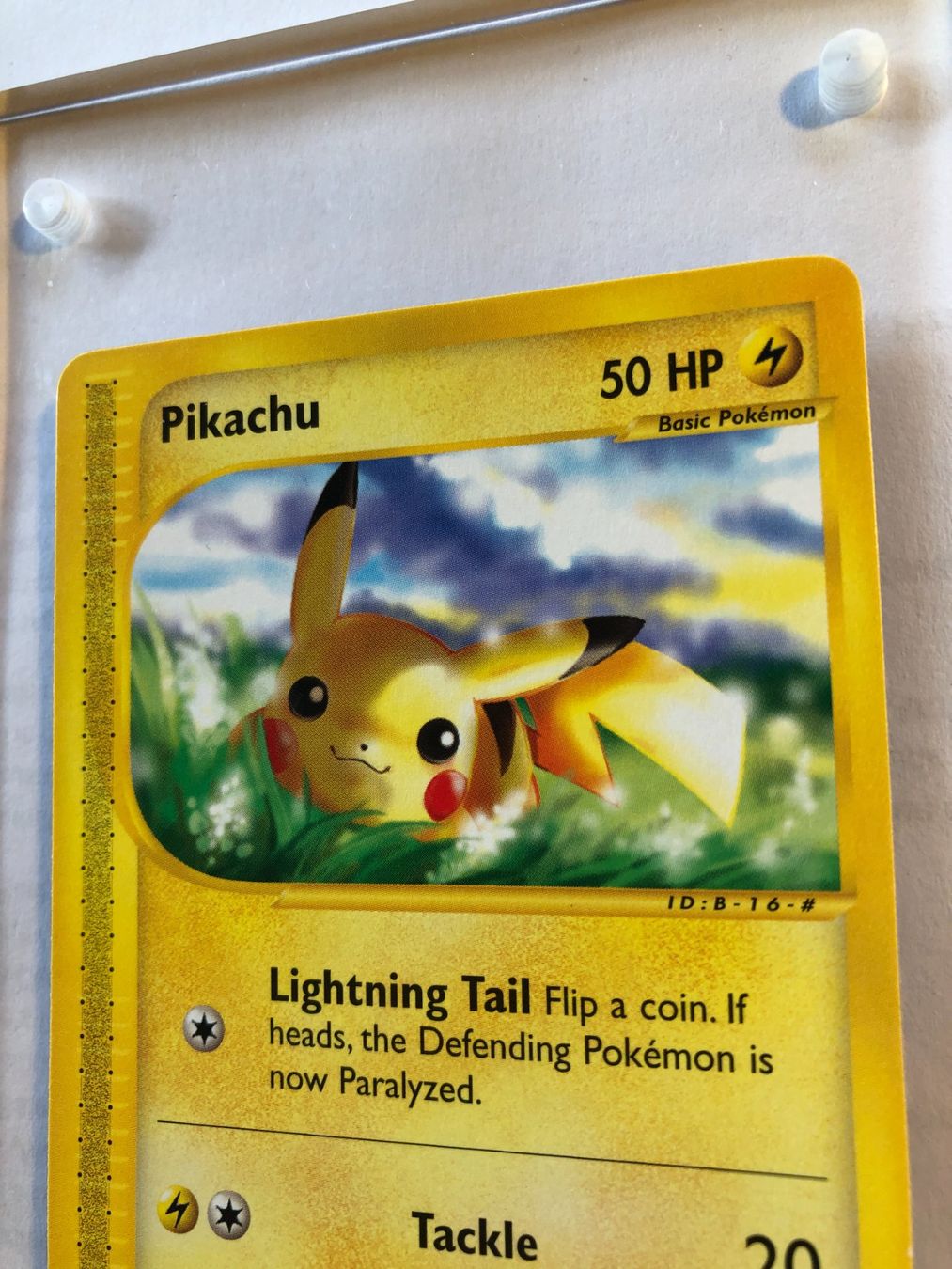 Carte collezionabili: Pikachu Expedition - MINT - ab 1.- – Usato da Giubiasco venduto da dan_pr8b 3
