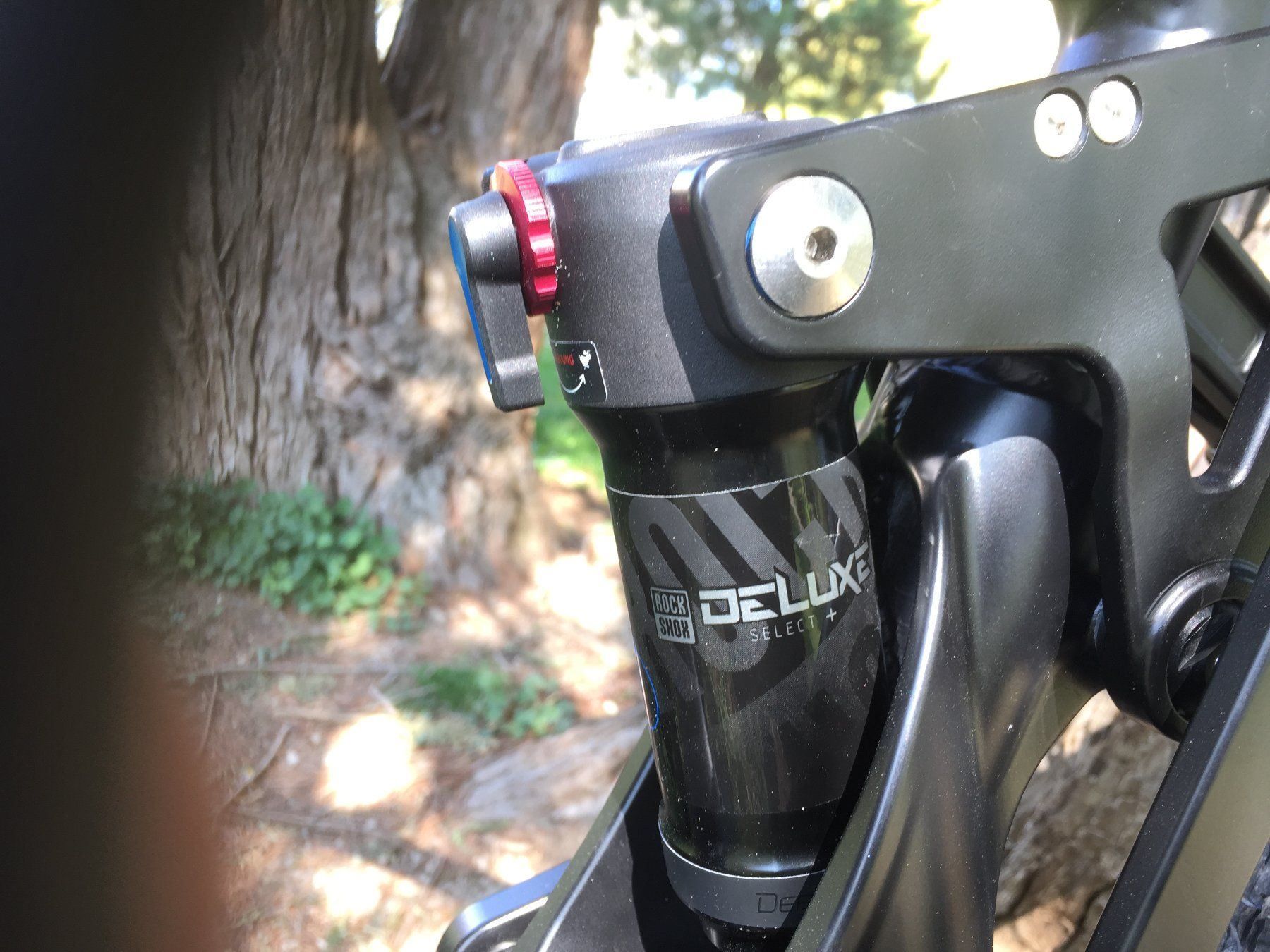 Biciclette: FREY AM1000EX 1000W Motor Downhill ebike – Nuovo e nell'imballaggio originale da Pfaffhausen venduto da Nyota 5