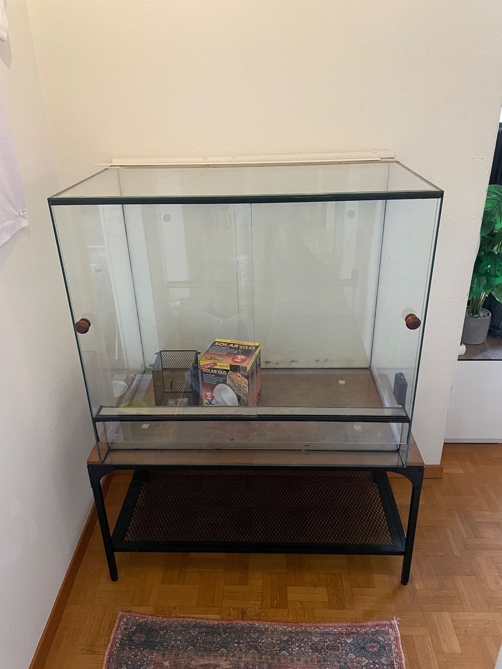 Terrarium: Terrarium – Gebraucht aus Bülach von dar_5xys