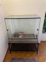 Terrarium